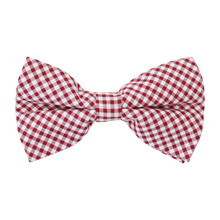 Load image into Gallery viewer, Mens Bowentie – Rutledge Red Gingham
