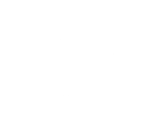 Brown Bowen and Company