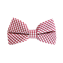 Load image into Gallery viewer, Mens  Bowentie- River Street Red