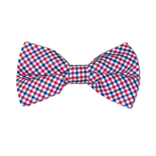 Load image into Gallery viewer, Mens Bowentie – Patriots Point Plaid