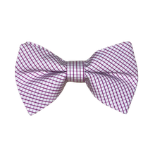 Load image into Gallery viewer, Boys Bowentie- Pinpoint Purple