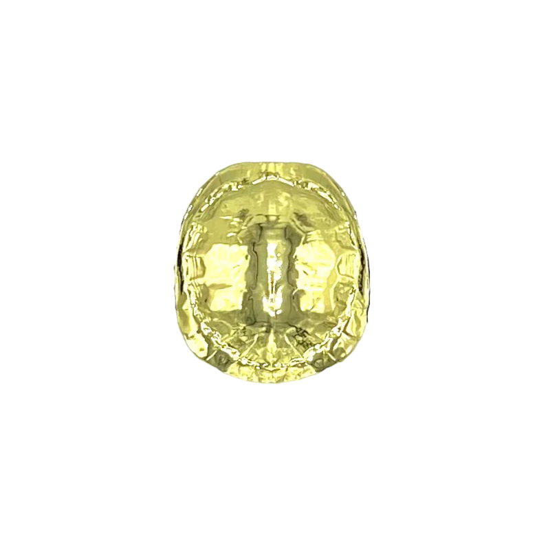 Turtle Shell Belt Buckle – Brown Bowen and Company display picture 1