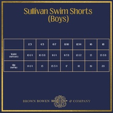 Load image into Gallery viewer, Sullivan Swim Shorts (Boys) - Old Point Plaid